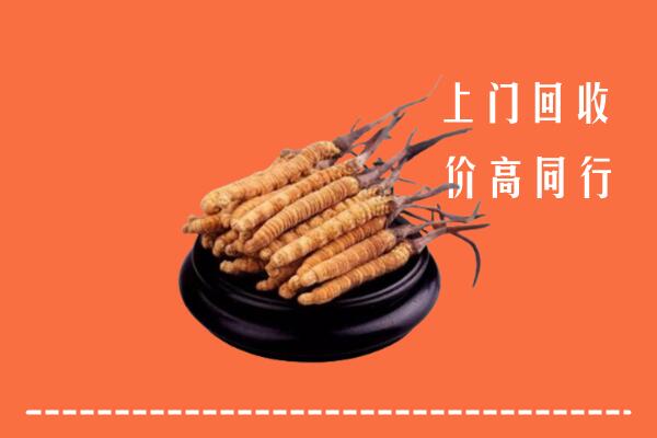 高价求购：新平县回收散虫草