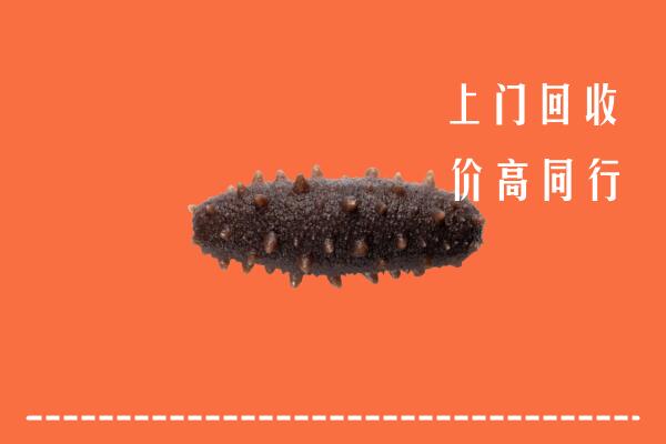 高价求购：新平县回收海参