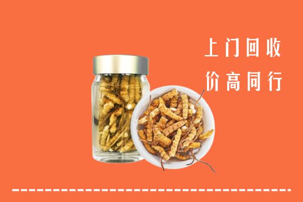 新平县回收冬虫夏草